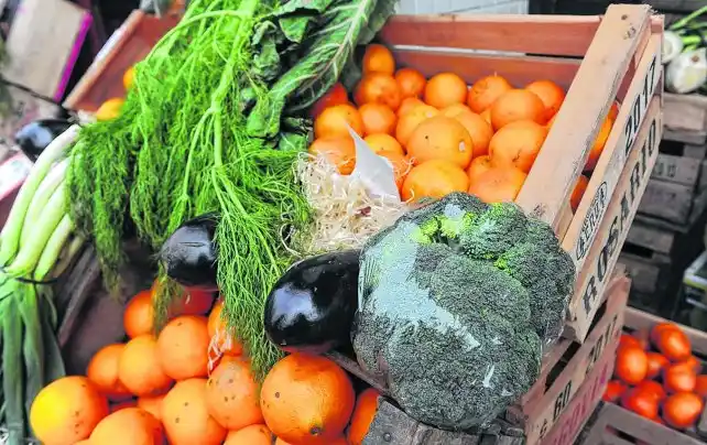 Agroquímicos: el Senasa apunta contra la provincia