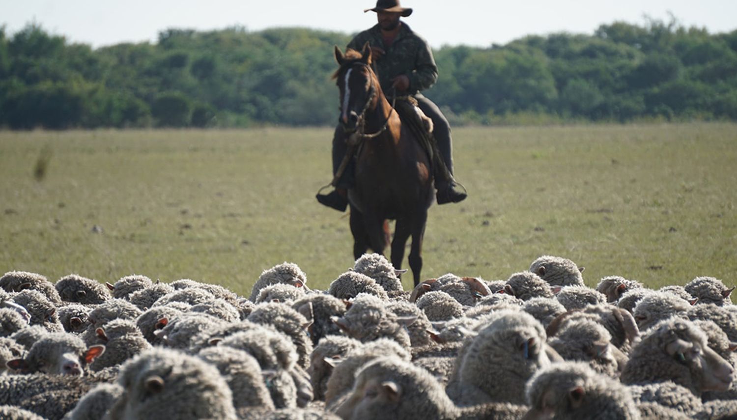 El Renatre aumenta en un 21,24% la prestación por desempleo para los trabajadores rurales