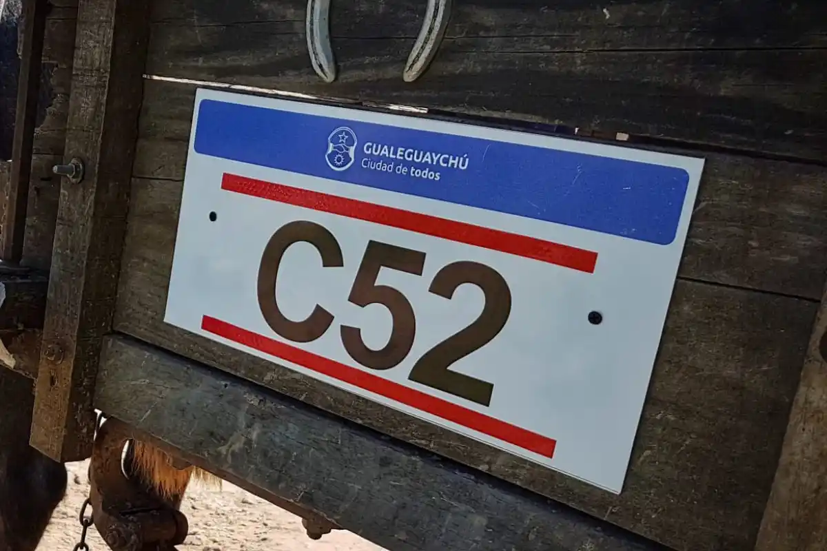 Realizan un reempadronamiento de vehículos con tracción a sangre