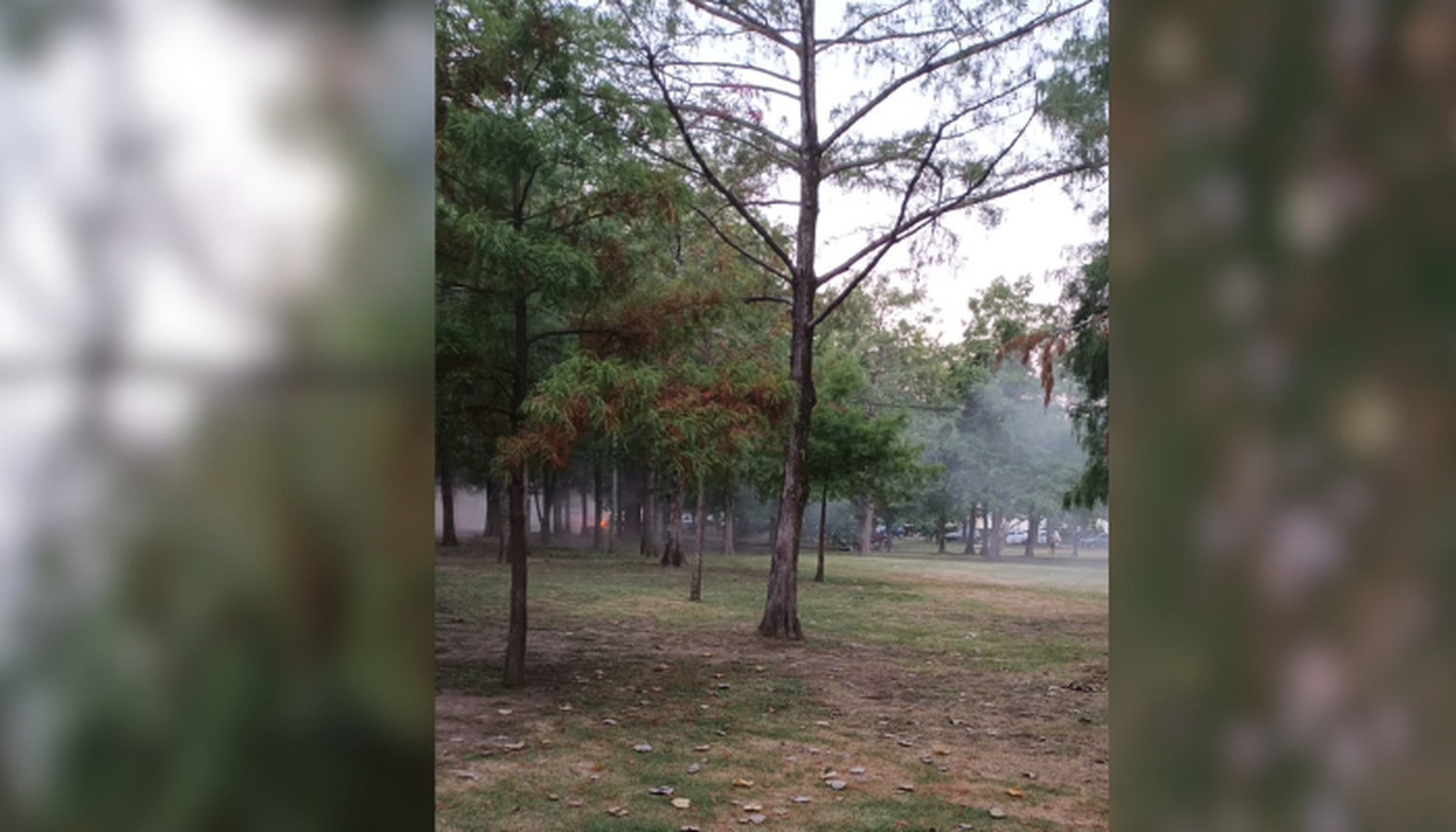 Fumigan con gente cerca