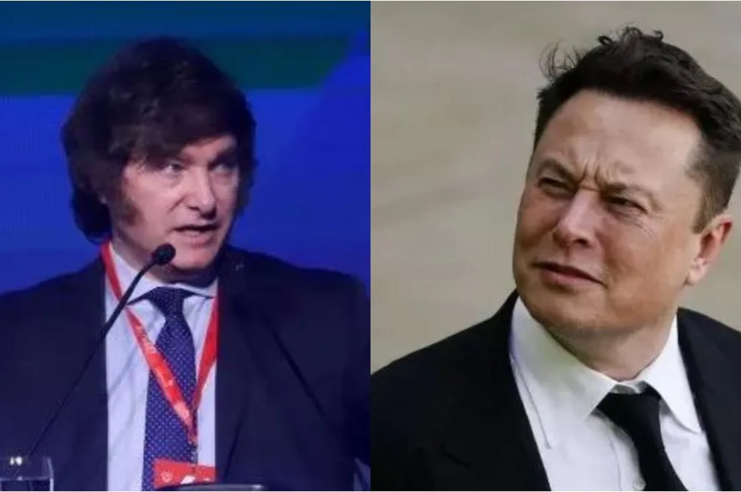 Javier Milei y Elon Musk