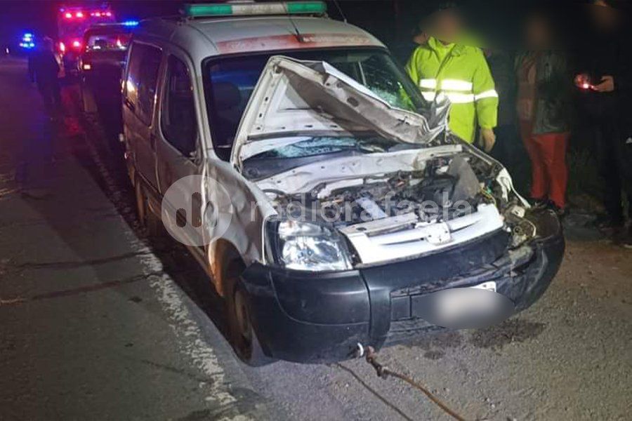 Una ambulancia impactó de lleno contra dos caballos en Ruta Nacional 19