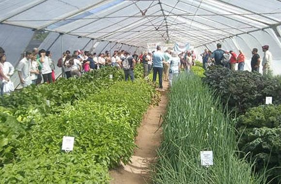 JORNADA HORTÍCOLA 2020 