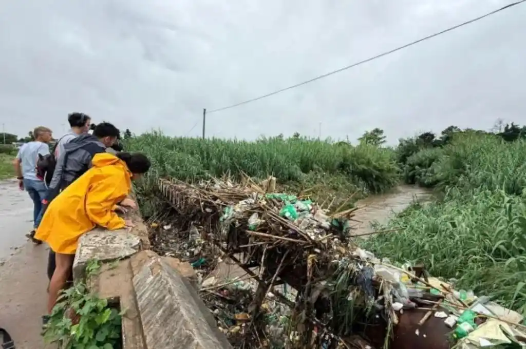 Desesperada búsqueda