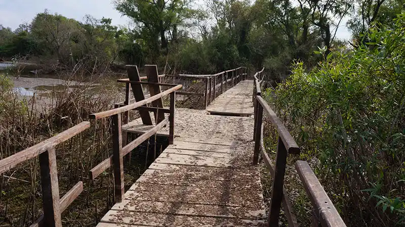 La semana próxima reabrirá el Parque Nacional Pre Delta