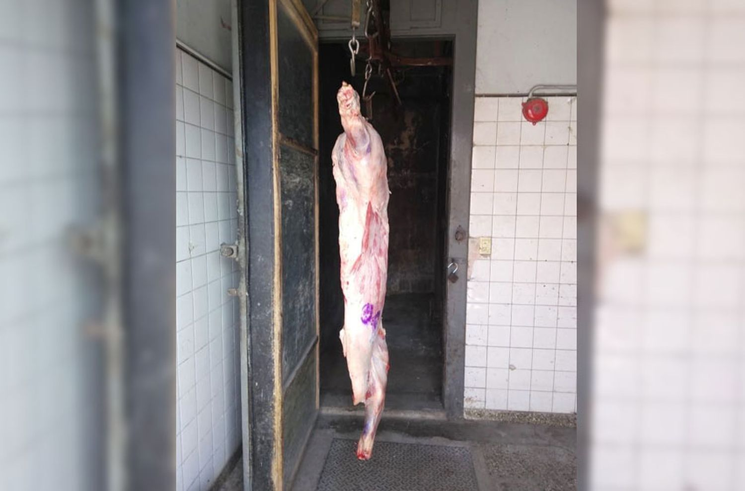 Clausuraron un frigorífico por "pésimas" condiciones de higiene