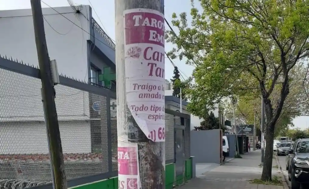 Rosario: tarotista pegó afiches en toda la ciudad, ahora tendrá que limpiar