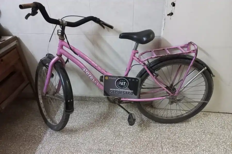 Un joven de 20 años robó varios objetos: fue detenido en la madrugada