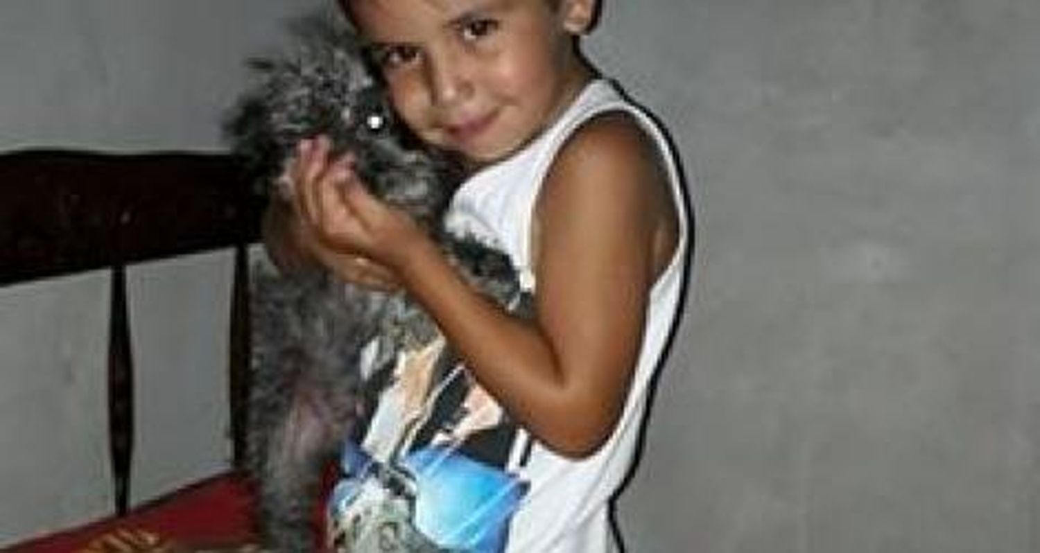 Perrito extraviado