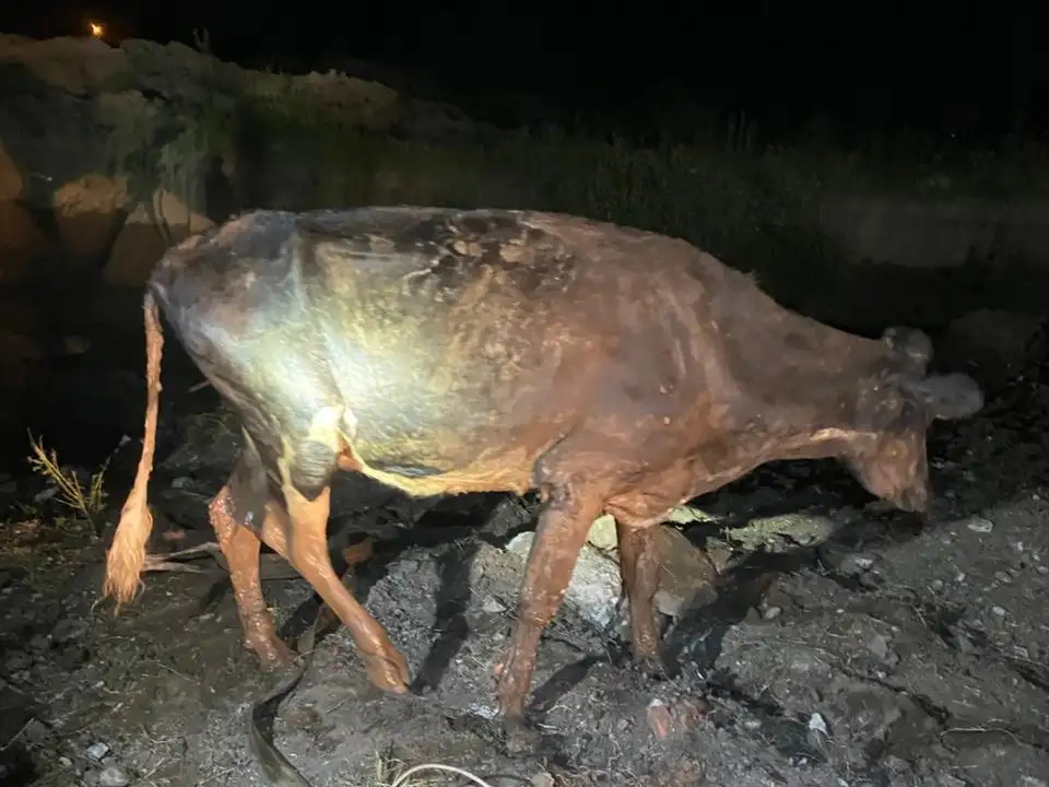 Crédito: Bomberos de Venado Tuerto.