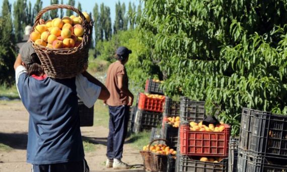 El gran potencial local para la producción frutihortícola y la necesidad de abordarlo con políticas públicas