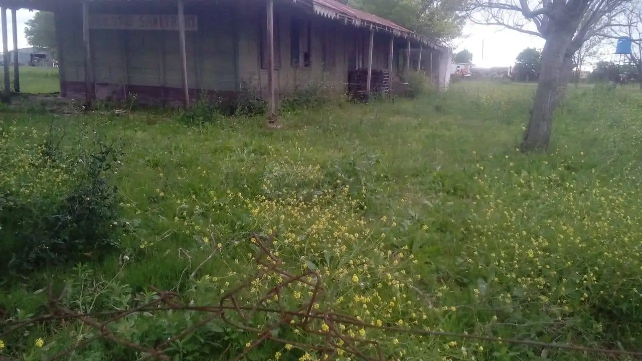 Estación Lazo - Escuela de Madera