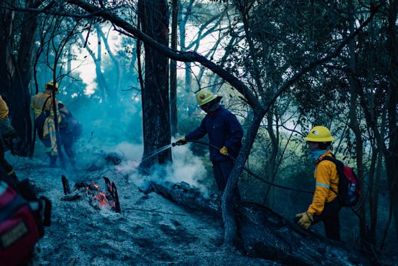 Alto riesgo de incendios forestales en General Pueyrredon