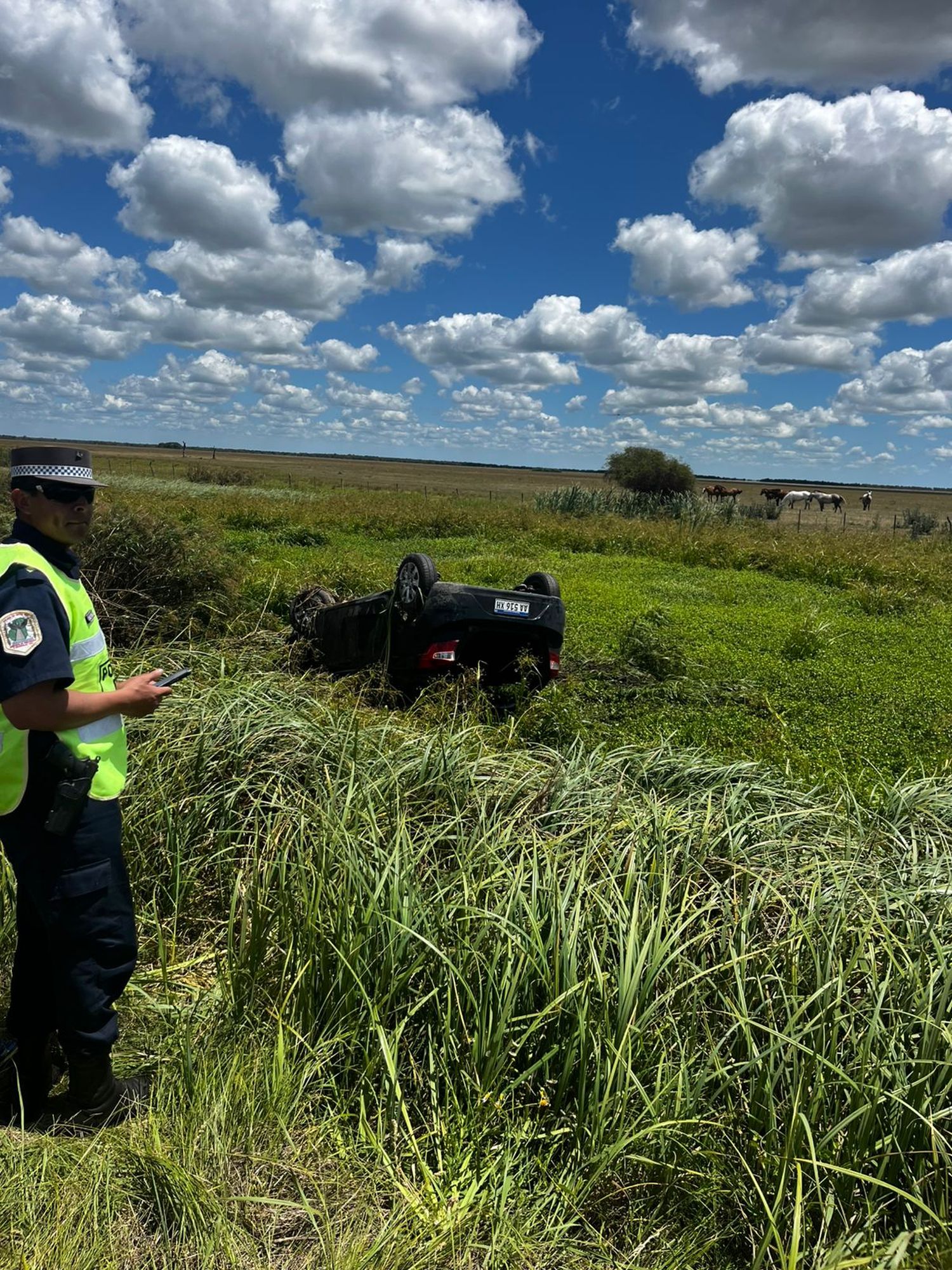 Vuelco de una auto en Ruta 12