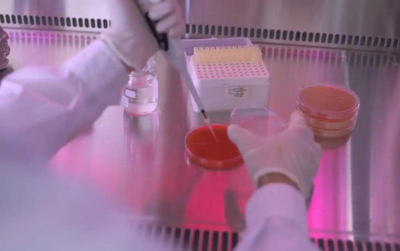 Bioinsumos, opción sustentable en la producción agrícola