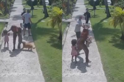 Un hombre agredió a una mujer que defendió a su hija del ataque de un perro