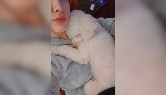 Mundo Mascotas: Mora, "lo único bueno que me dio mi ex"