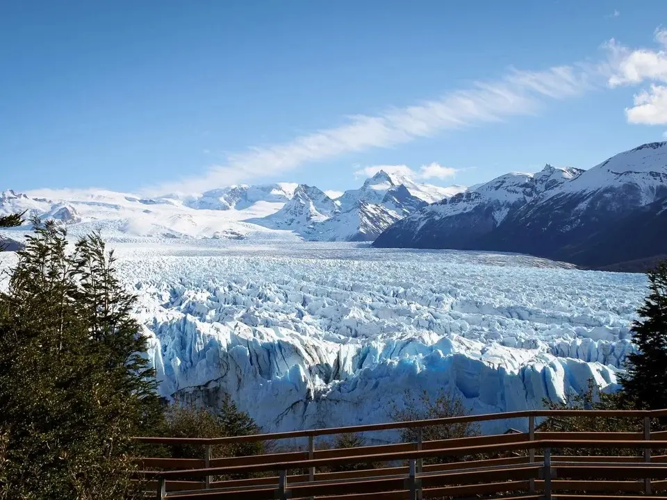 Greenpeace pidió una medida cautelar para garantizar la participación oral de 100 mil inscriptos
