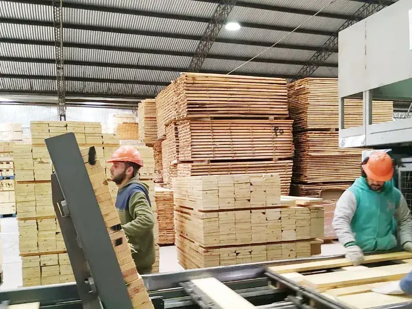 Convocan a industrias madereras de Entre Ríos para certificar productos estructurales