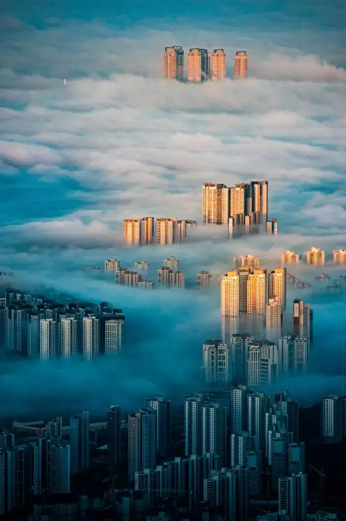 foto ganadora - 2