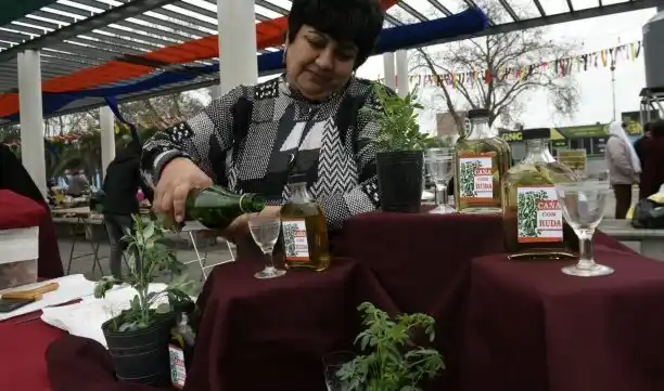 Por qué hoy se toma en ayunas tres tragos de caña con ruda 