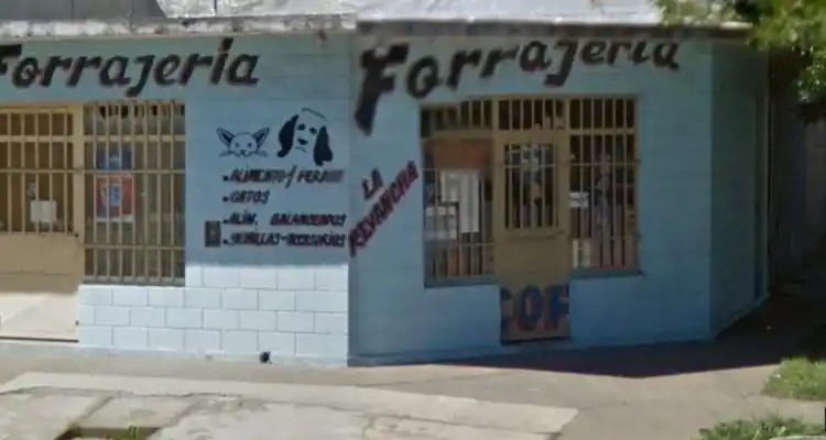 Comerciante denunció que le rompieron los vidrios de su local