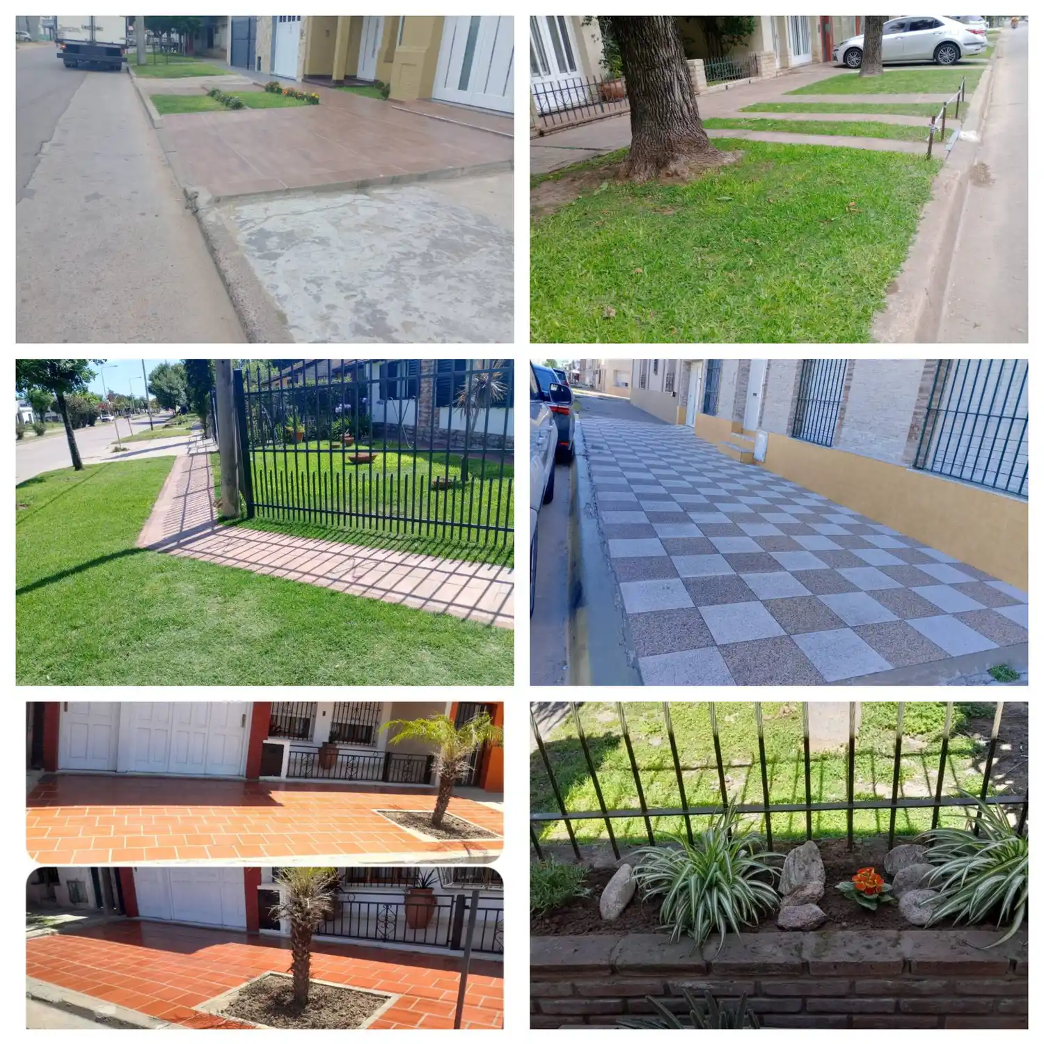 Veredas ejemplares 2