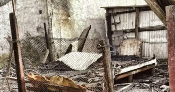 Dos gemelos de seis años murieron al incendiarse su vivienda