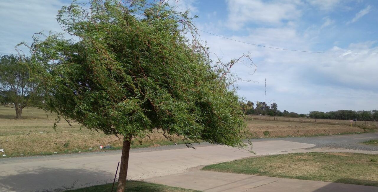 Ráfagas de 70 Km/h, temperaturas bajo cero el domingo y 30 grados a mitad de semana