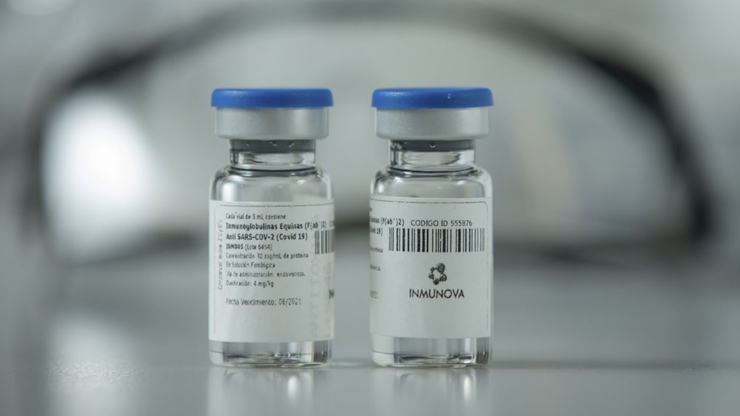 Comienza la distribución del suero equino hiperinmune desarrollado en Argentina