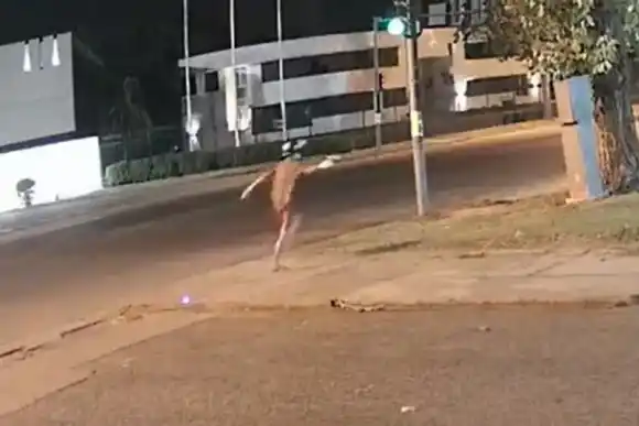 De forma mafiosa, atacaron con arma de fuego al grupo de Televisión Litoral