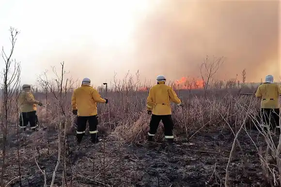 Brigadistas entrerrianos combaten incendios cercanos a viviendas rurales en el Delta