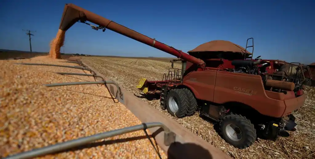 En Santa Fe, el maíz se mantiene con altas expectativas.