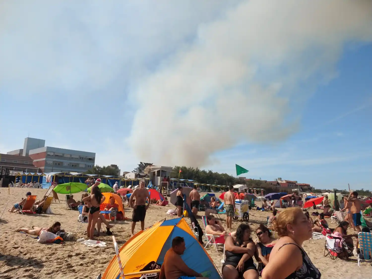 Incendio en Villa Gesell: hay casas afectadas y el humo llega hasta la playa