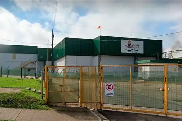 Cerró un frigorífico de una reconocida empresa y reubicó a 270 empleados: “No podemos vivir así”