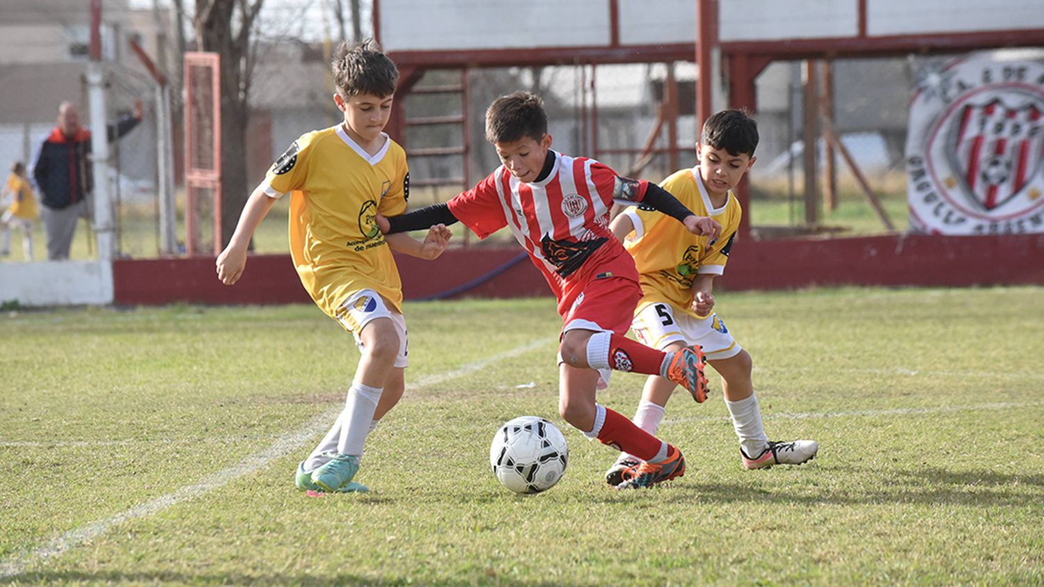 Baby Fútbol: así se jugará la 12° fecha del Clausura