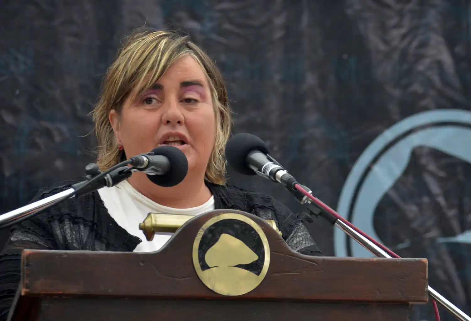 Los 1300 vecinos de Gardey quedaron incomunicados por cuarta vez debido a los robos de cables