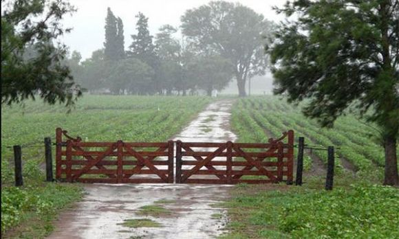 Llegaron las lluvias a la región pampeana y se frena el deterioro de los cultivos