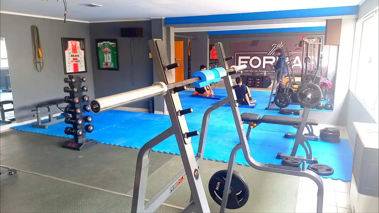 formar gimnasio