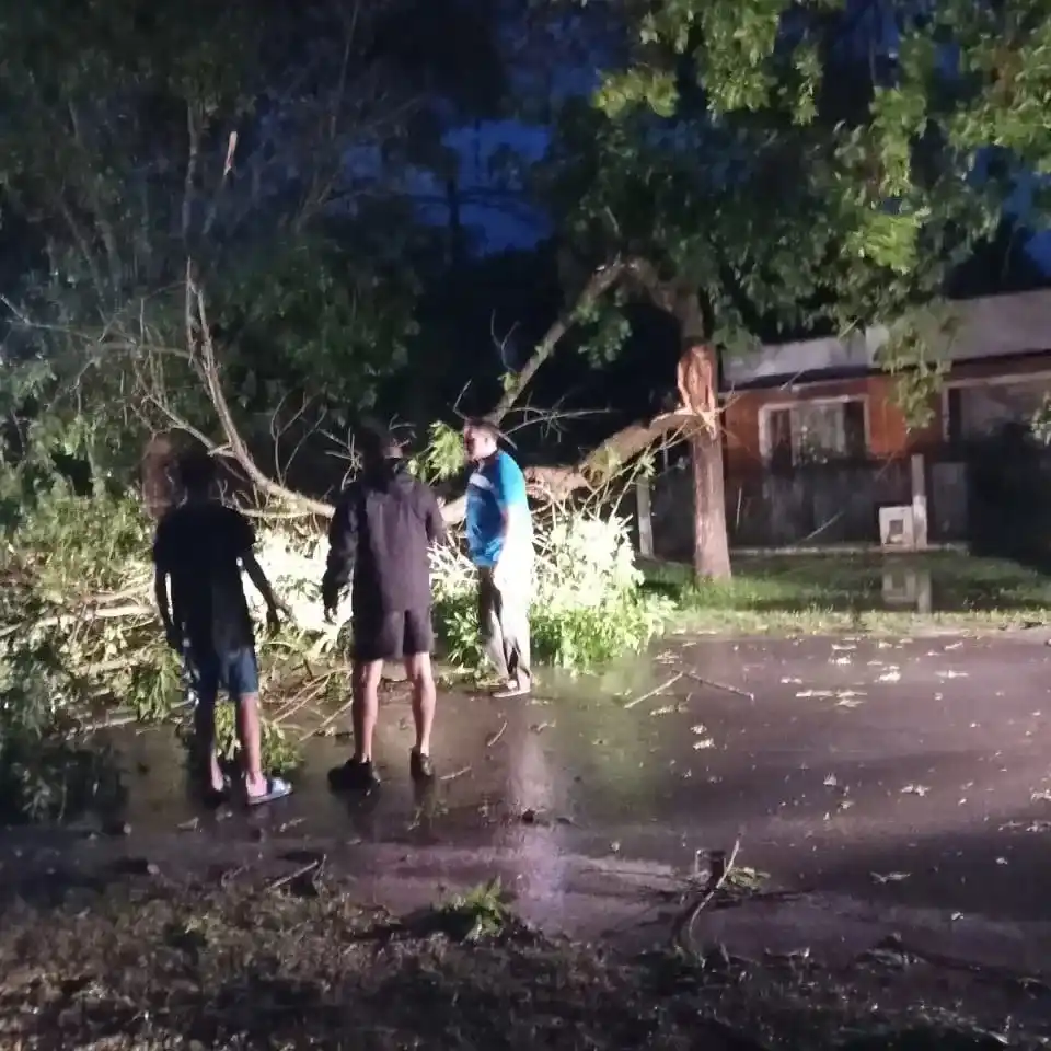 Otra tormenta azotó a la Provincia: En Punta Indio se volaron techos y cayeron árboles