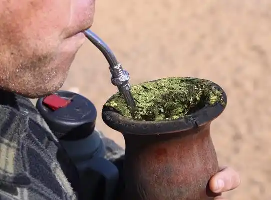 Después del audio viral de la cirujana, convocan a una mateada en Nordelta