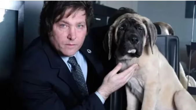 “Ley Conan”: de qué se trata el nuevo proyecto contra el maltrato animal
