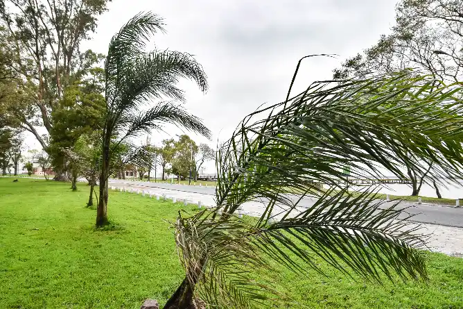 Chascomús continúa bajo alerta por tormentas y vientos fuertes: El aviso del SMN se extiende hasta el miércoles por la tarde