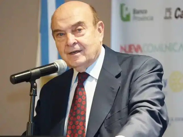 Cavallo pidió que se abra totalmente el cepo. Advirtió que la economía se frenó en mayo y junio