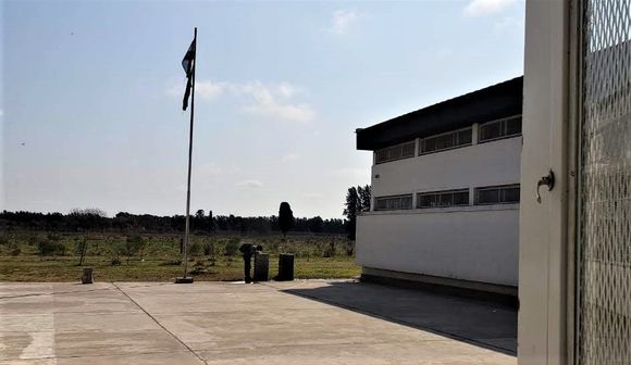 Inseguridad en la escuela Agraria: durante el receso, robaron conejos y gallinas del establecimiento