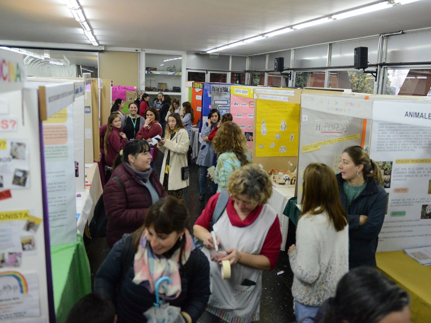 Feria de Ciencias: el CCU a pleno con cientos de estudiantes mostrando sus proyectos