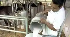 Recomiendan a los tamberos extremar los recaudos en los planes de inversión