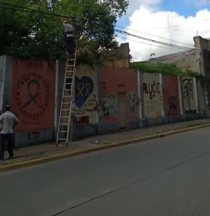 “La mugre y las plantas asoman por los tapiales”