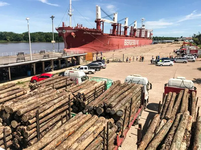La exportación forestal a través de los  puertos entrerrianos ha generado más  de 3.000 millones de pesos