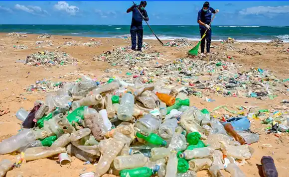  En el Día del Medio Ambiente, los expertos coinciden en que “no hay nada que festejar”
